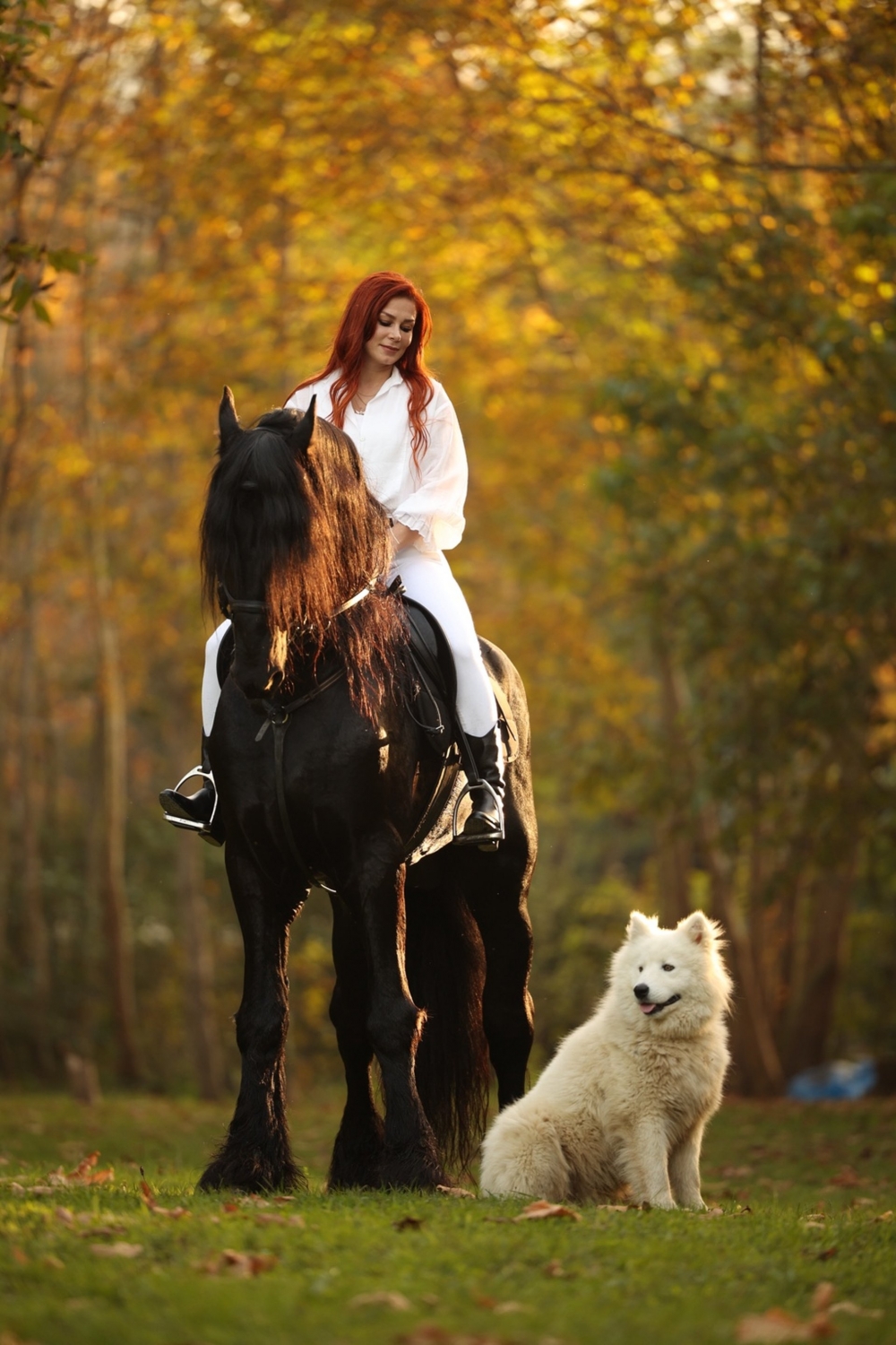 Profesyonel  Çekim
Hara Bıçkıdere’nin eşsiz doğası ve  atları eşliğinde, profesyonel ekipman ve deneyimli fotoğrafçılar tarafından gerçekleştirilir.